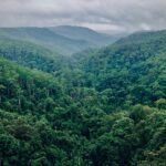 eaf8ec0914b01bcbf5b9e7bec8ec1d87