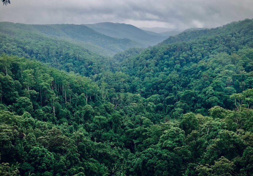 eaf8ec0914b01bcbf5b9e7bec8ec1d87